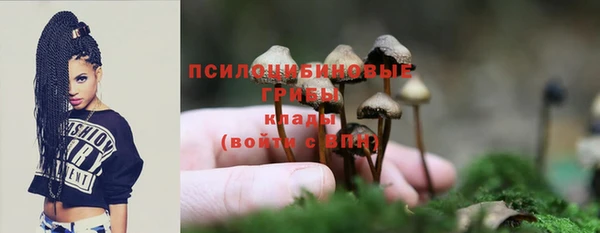 дурь Беломорск