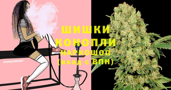 марихуана Белокуриха