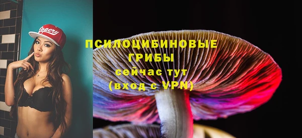 стафф Богородск