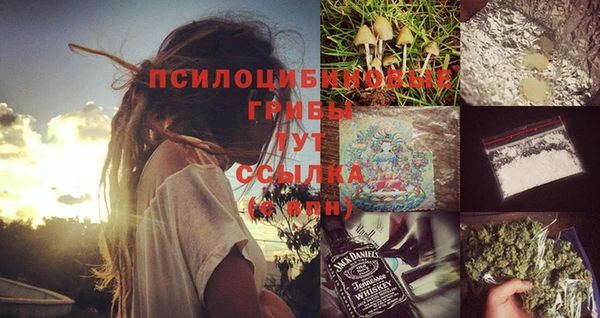 прущие крисы Богданович