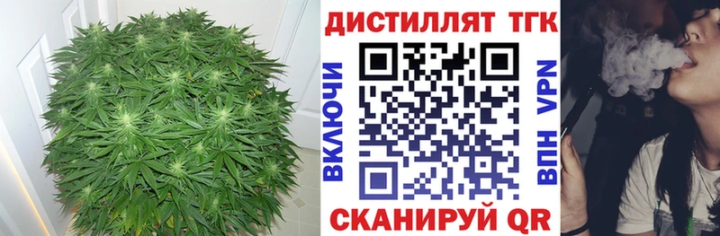 где купить Гудермес MEGA вход ТГК Wax