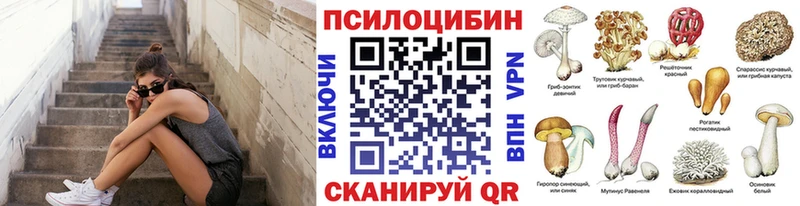 omg маркетплейс  Гудермес  Галлюциногенные грибы ЛСД 